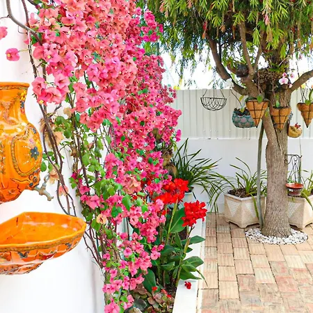 Tibouchina Villa