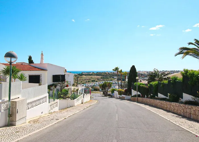 Tibouchina * 알부페이라