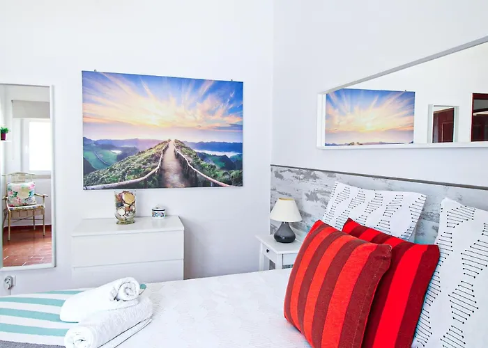 Tibouchina 알부페이라