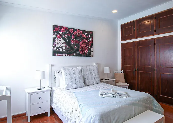 Tibouchina * Αλμπουφέιρα