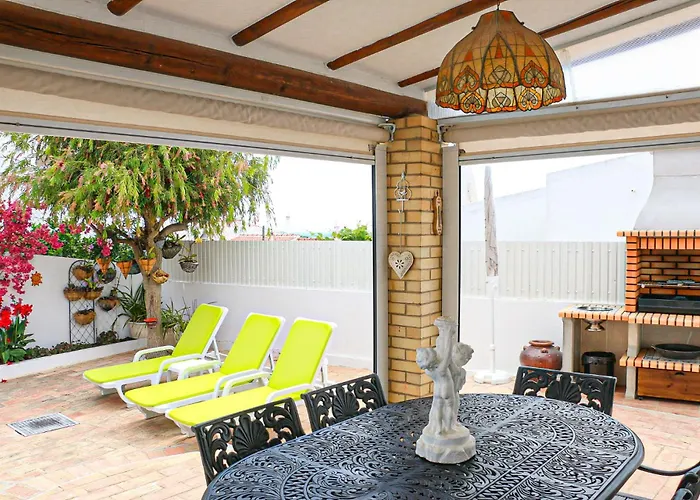 Tibouchina * 알부페이라