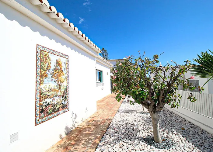 Tibouchina * 알부페이라