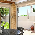 Tibouchina アルブフェイラ