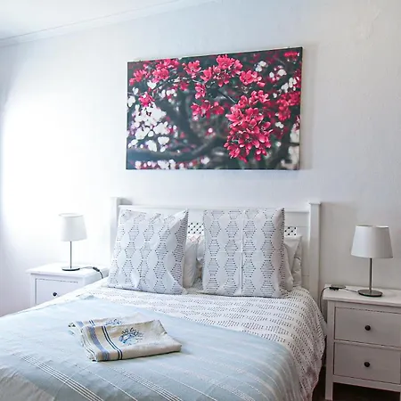 فيلة Tibouchina *