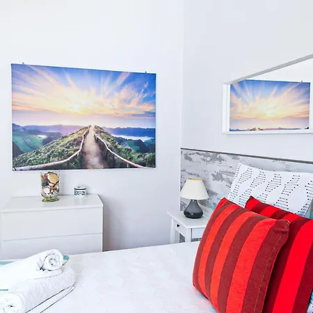 Tibouchina البوفيرا