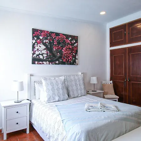 Tibouchina * البوفيرا