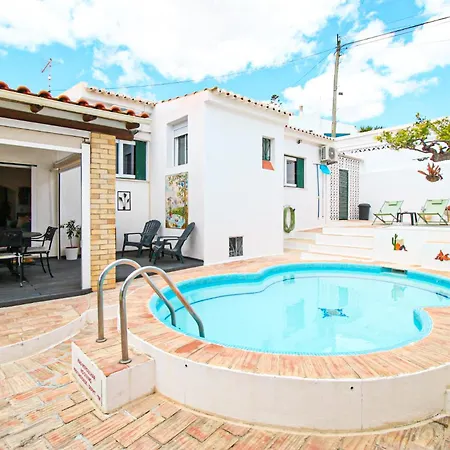 Tibouchina فيلة *