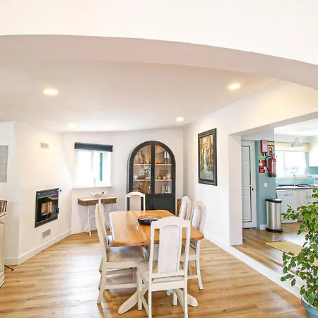 فيلة Tibouchina البوفيرا