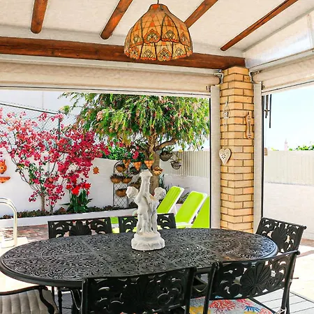 Tibouchina البوفيرا