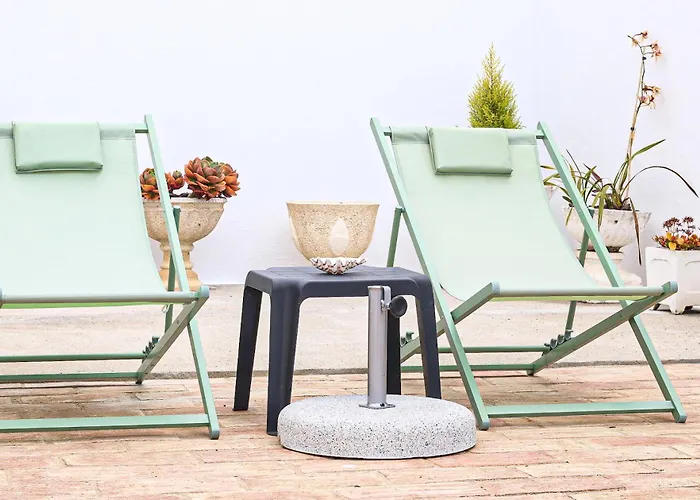 Tibouchina Albufeira