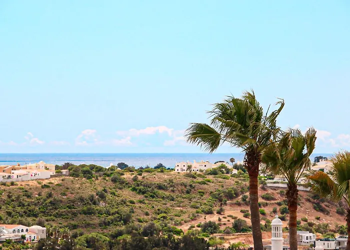 Tibouchina Albufeira