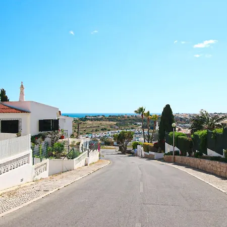 Tibouchina * 阿尔布费拉