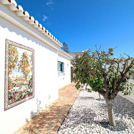 Tibouchina * 阿尔布费拉